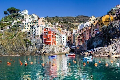 Discover the Magic of Cinque Terre:Private Day Trip from Florence