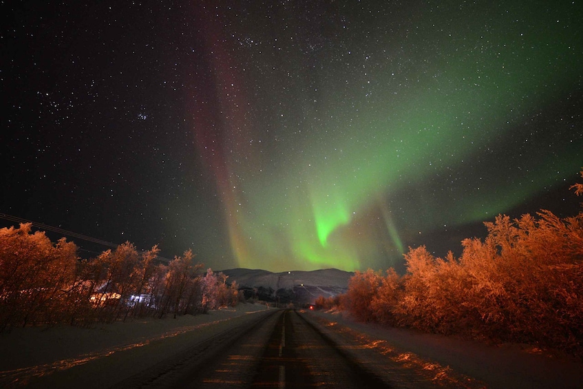 Picture 3 for Activity Abisko: Guided Aurora Chase with Hotel Transfers