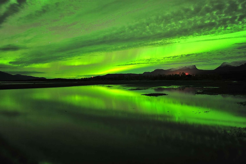 Picture 1 for Activity Abisko: Guided Aurora Chase with Hotel Transfers