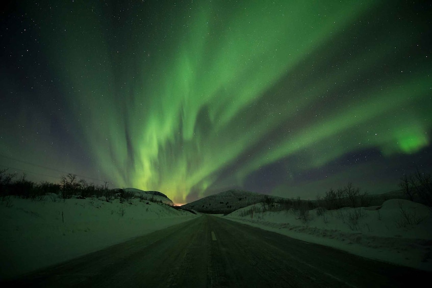 Picture 2 for Activity Abisko: Guided Aurora Chase with Hotel Transfers