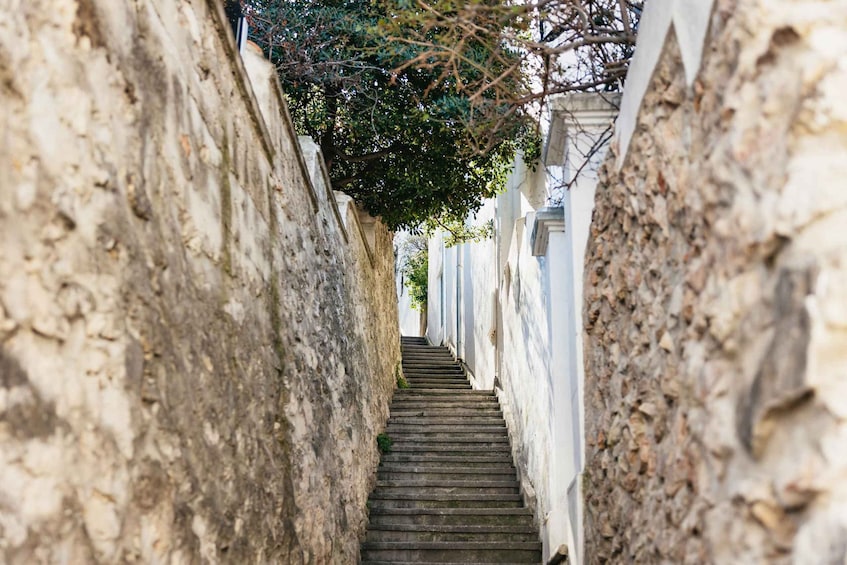 Picture 14 for Activity Marseille: Local Neighborhoods Guided Walking Tour