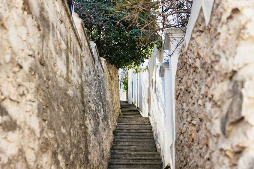 Picture 14 for Activity Marseille: Local Neighborhoods Guided Walking Tour