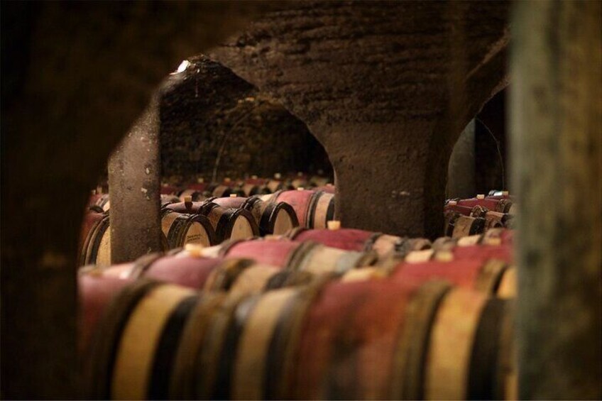Visit of our XV° century cellars