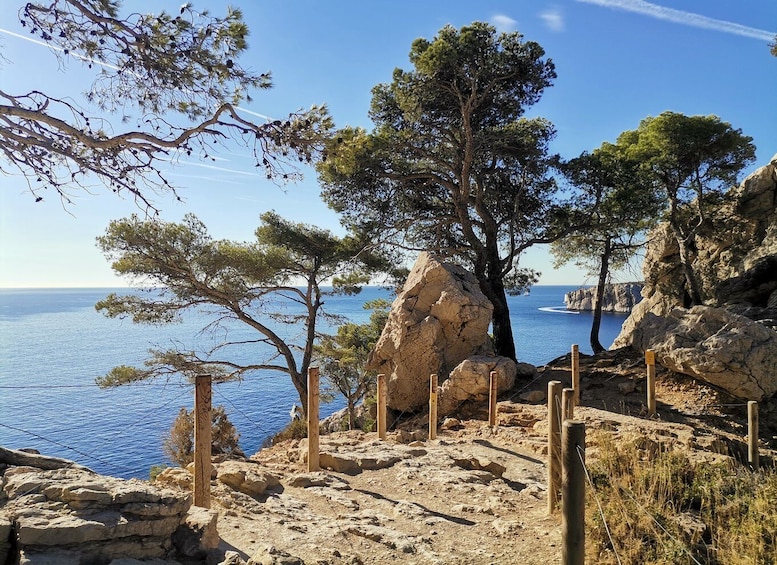 Picture 14 for Activity From Marseille: Calanques National Park Guided Hike