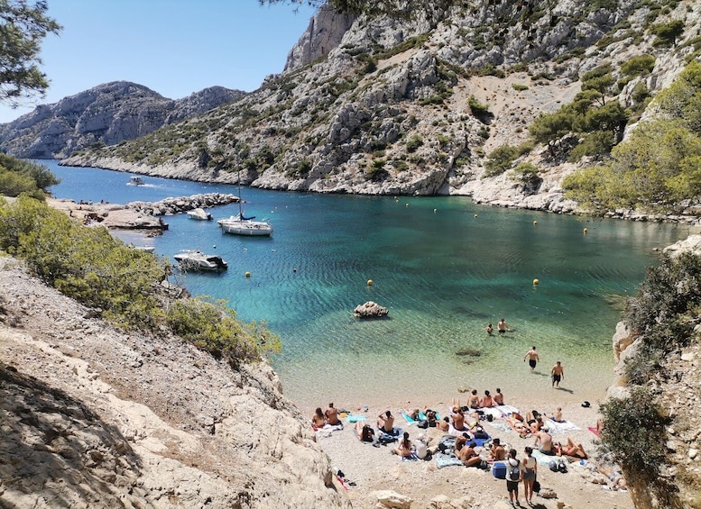 Picture 32 for Activity From Marseille: Calanques National Park Guided Hike