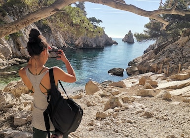 Vanuit Marseille: Wandeling met gids door het Nationaal Park van de Calanqu...