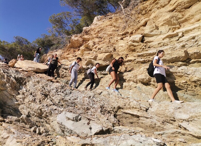 Picture 8 for Activity From Marseille: Calanques National Park Guided Hike