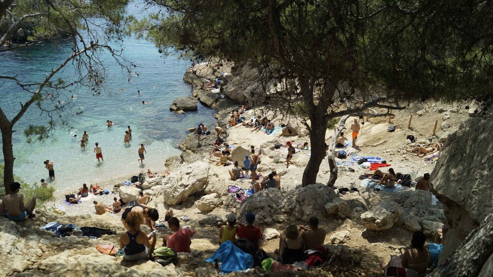 Picture 11 for Activity From Marseille: Calanques National Park Guided Hike