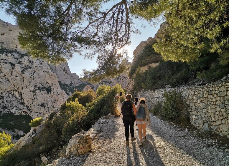 Picture 13 for Activity From Marseille: Calanques National Park Guided Hike