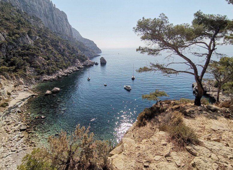 Picture 22 for Activity From Marseille: Calanques National Park Guided Hike