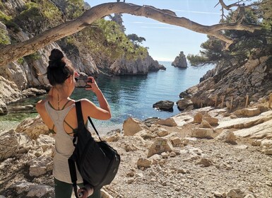 Desde Marsella: caminata guiada por el Parque Nacional de Calanques