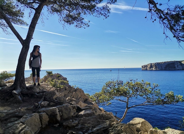 Picture 3 for Activity From Marseille: Calanques National Park Guided Hike