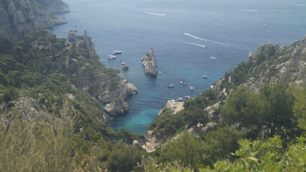 Picture 21 for Activity From Marseille: Calanques National Park Guided Hike