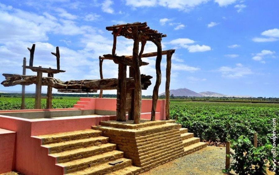 Pisco Wineries and Vineyards Day Tour