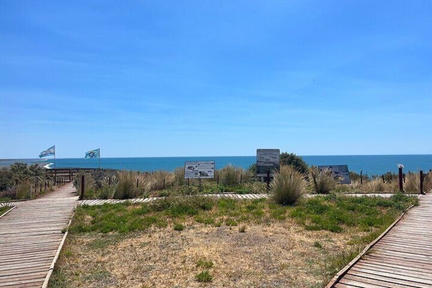 Peninsula Valdes