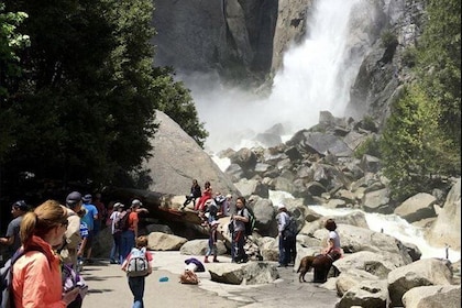 Small Group Yosemite and Giant Sequoias Day Trip from San Francisco