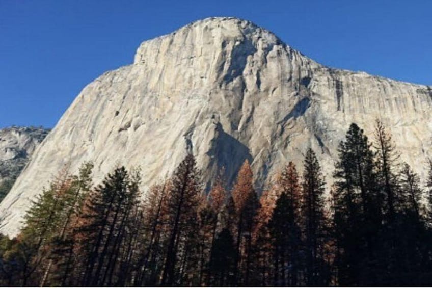 Small Group Yosemite and Giant Sequoias Day Trip from San Francisco