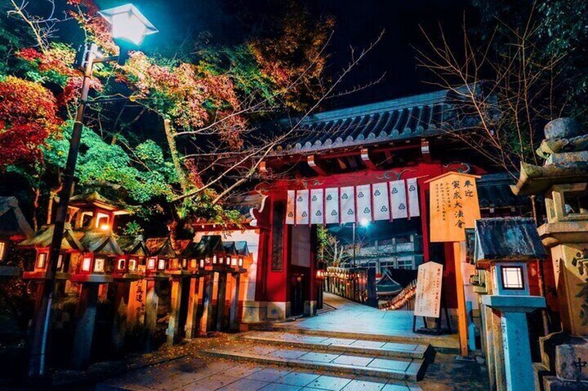 Private Day-to-Night Tour Secret Shrines Nature of Osaka and Nara