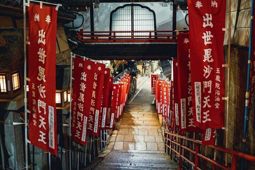 Private Day-to-Night Tour Secret Shrines Nature of Osaka and Nara