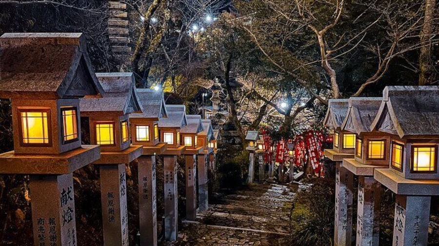 Hidden Gems of Osaka Kyoto Nara - Private Car Tour by Local Guide