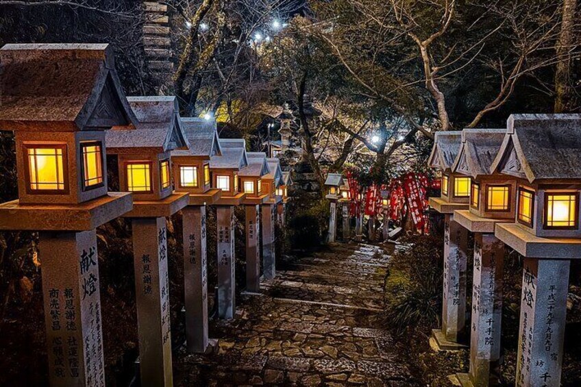 Hidden Gems of Osaka Kyoto Nara - Private Car Tour by Local Guide