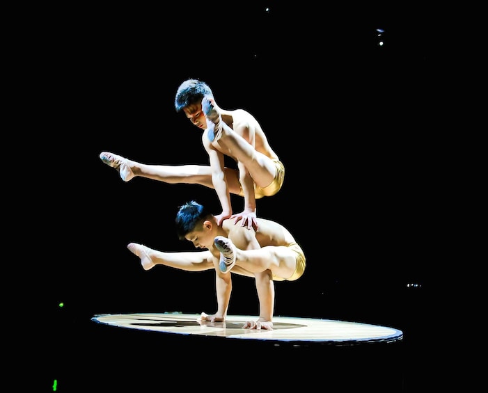 Amazing Acrobats of Shanghai