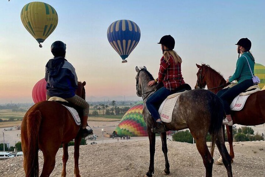 Private Camel, Horse or Donkey Ride in Luxor