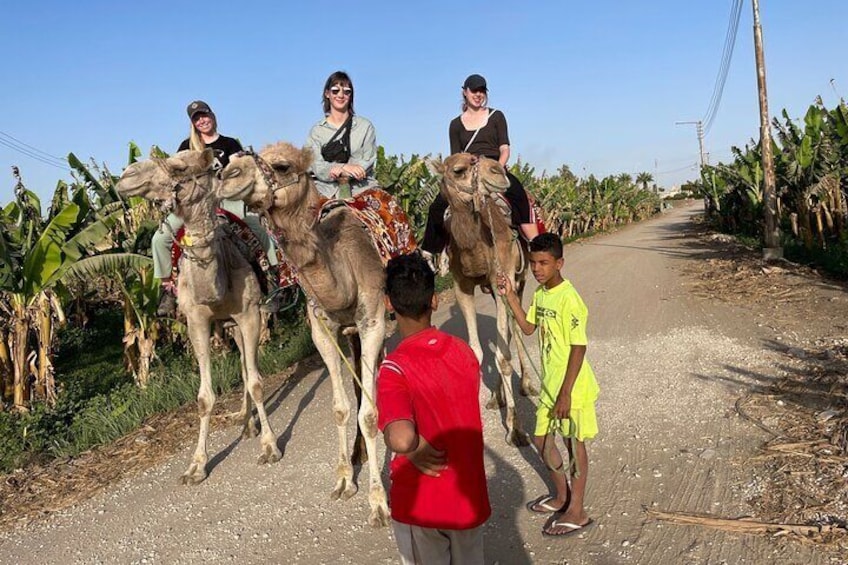 Private Camel, Horse or Donkey Ride in Luxor
