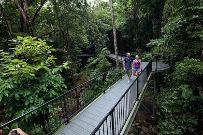 4-Day Cairns with Great Barrier Reef and Daintree Rainforest