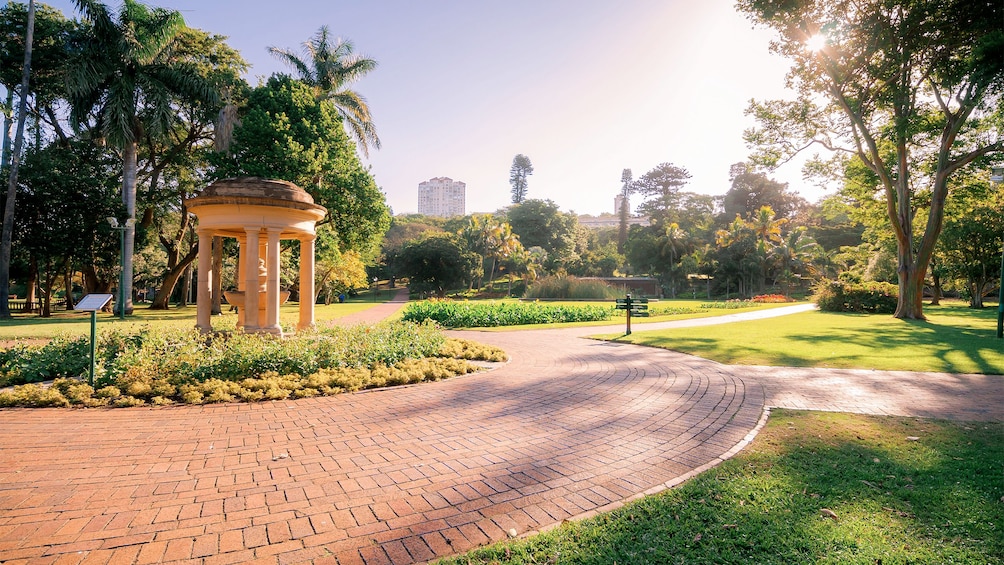 Durban Botanic Gardens