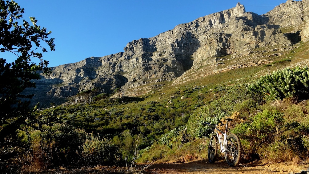 View from the base of Table Mountain with mountain bike