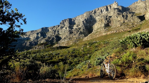 Avventura di mezza giornata a Table Mountain in bici