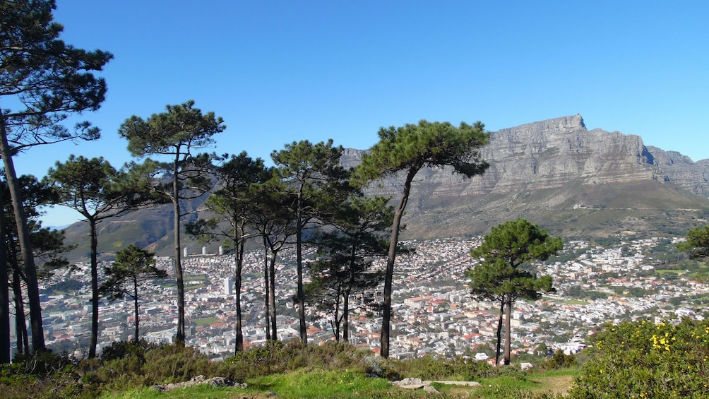 View of Table Mountain and the city below