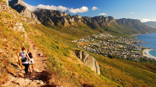 Half-Day Table Mountain Hiking Adventure