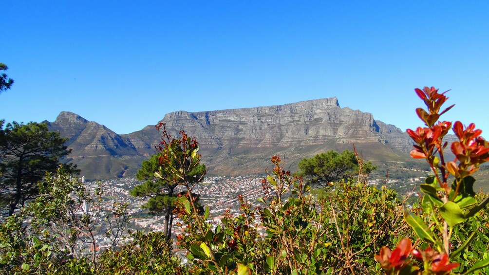 View from hills of Cape Town