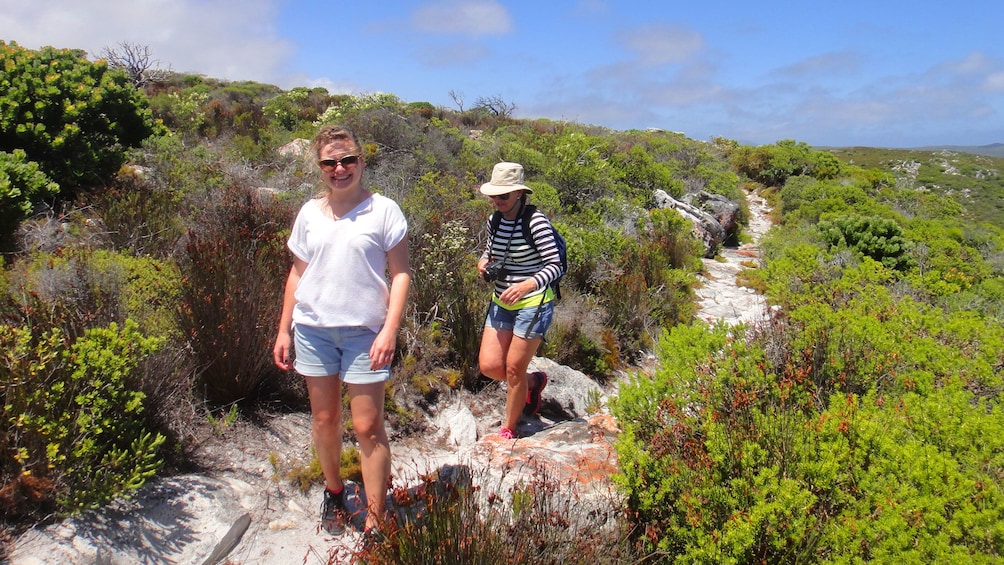 Group of people hiking