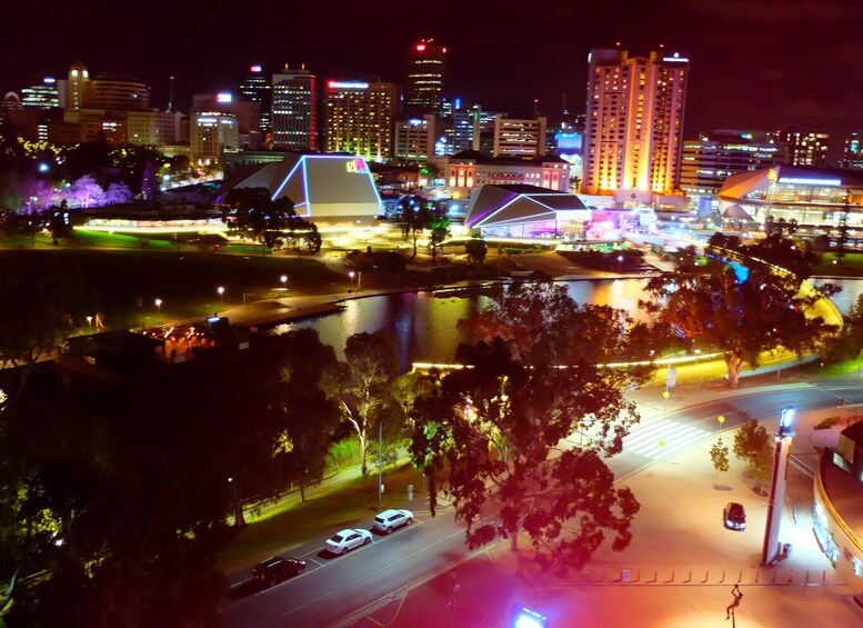 Picture 2 for Activity Adelaide: Adelaide Oval Night Roof Climb with Drink