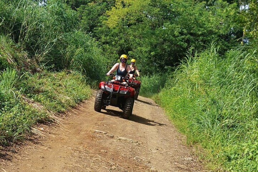 Super ATV tour 2 hours on the beach and wildlife forest trails