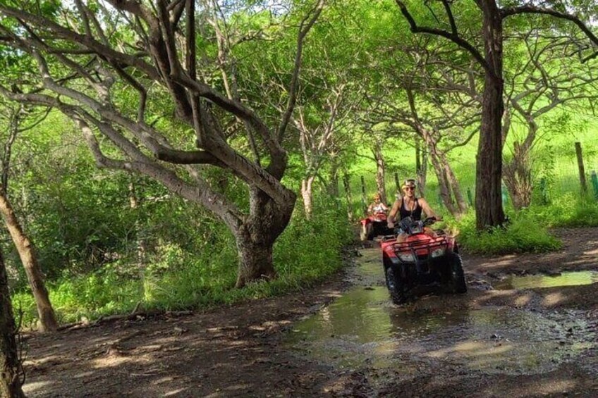 Super ATV tour 2 hours on the beach and wildlife forest trails