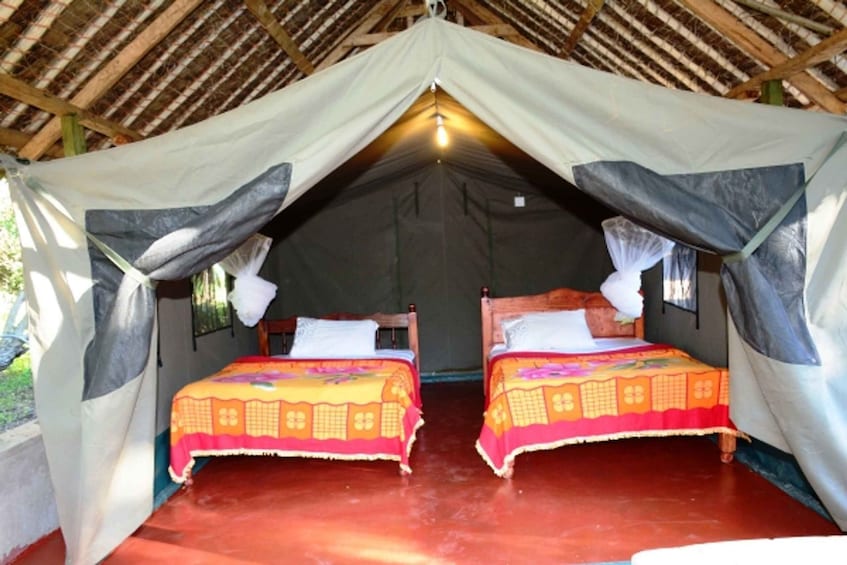 Picture 7 for Activity Nairobi: 4-Day Maasai Mara and Lake Nakuru Camping Safari