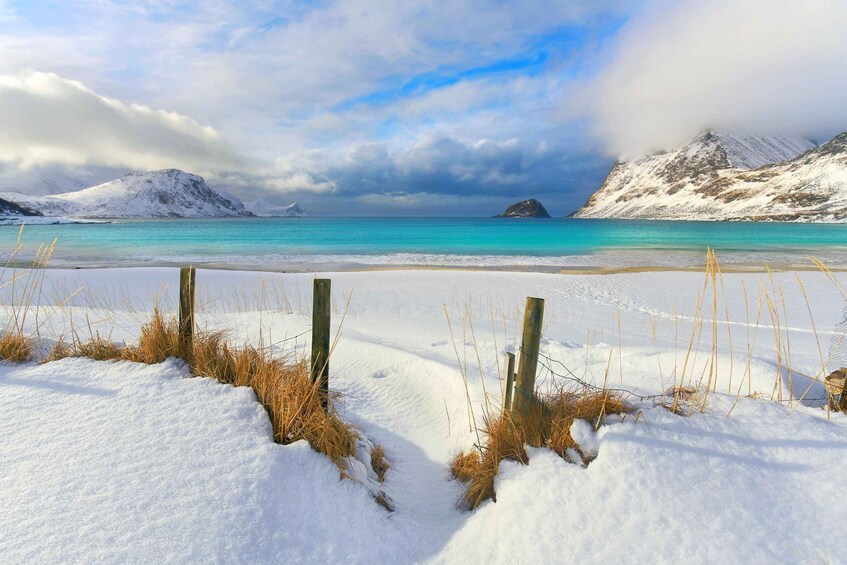Picture 5 for Activity North Lofoten Top Highlights Photo Tour (Haukland)