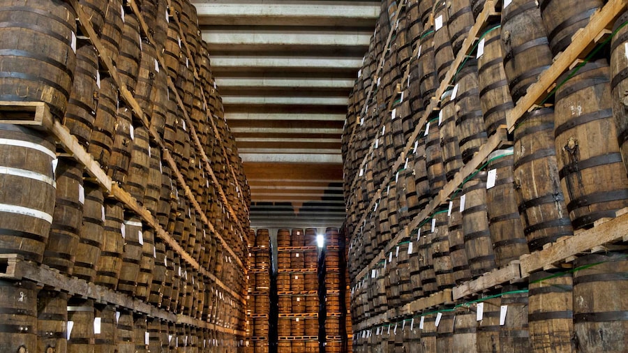 Ron Barcerló: Rum Factory Tour with Rum Tastings