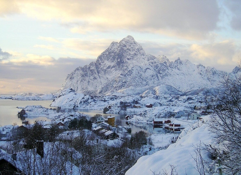 Picture 5 for Activity From Svolvaer: 2-Day Lofoten Archipelago Photography Trip