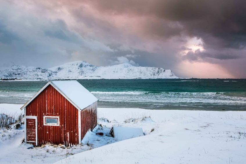 Picture 2 for Activity From Svolvaer: 2-Day Lofoten Archipelago Photography Trip