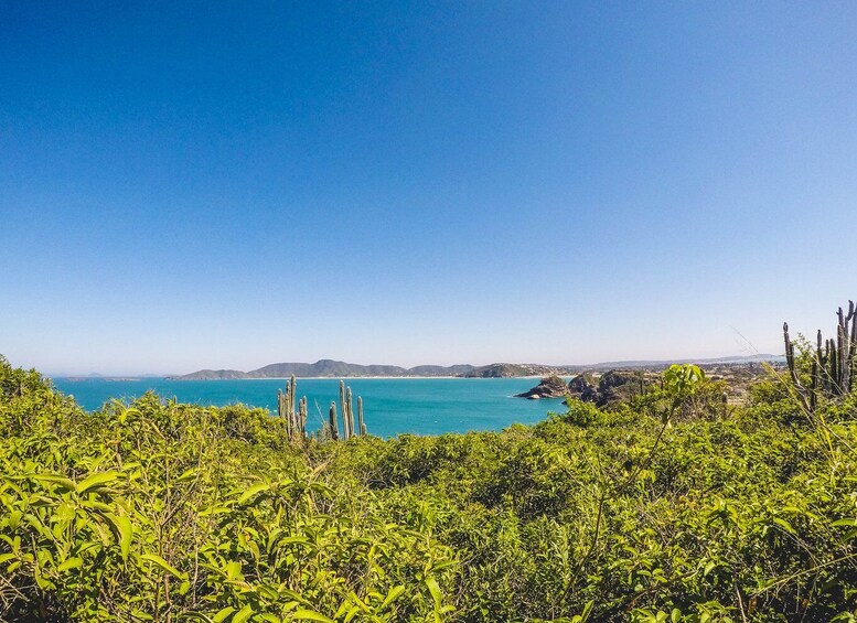 Picture 5 for Activity Armação dos Búzios: Walk Through the Natural Pools in Búzios