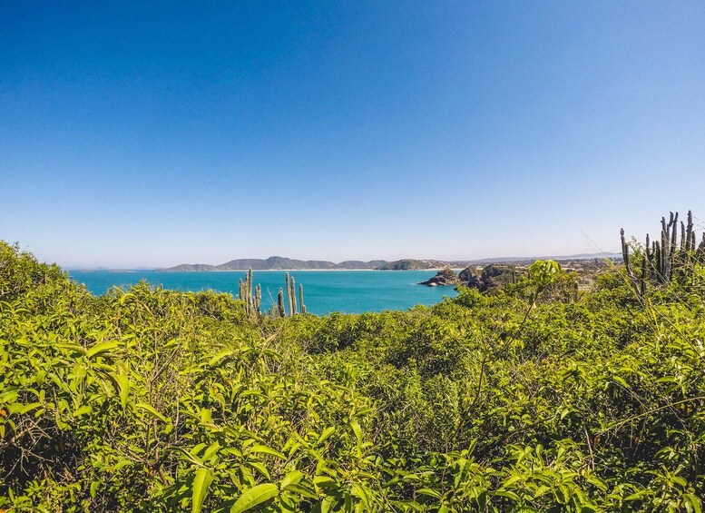 Picture 5 for Activity Armação dos Búzios: Walk Through the Natural Pools in Búzios