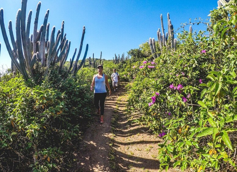 Picture 4 for Activity Armação dos Búzios: Walk Through the Natural Pools in Búzios