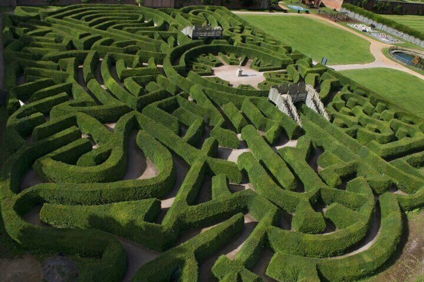 The famous maze
