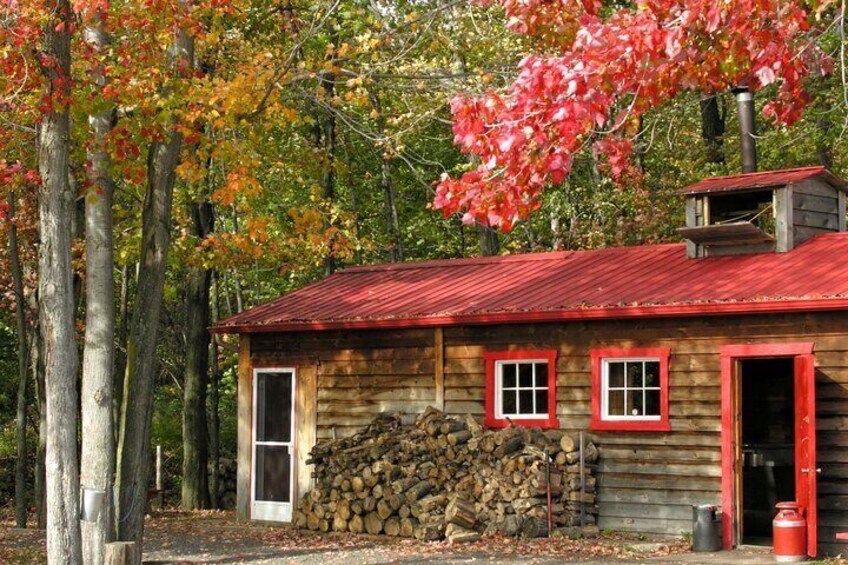 Full Day Sugar Shack Maple Syrup Tour in Trois-Rivières