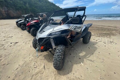 Private Half-Day ATV Buggie Tour with transportation